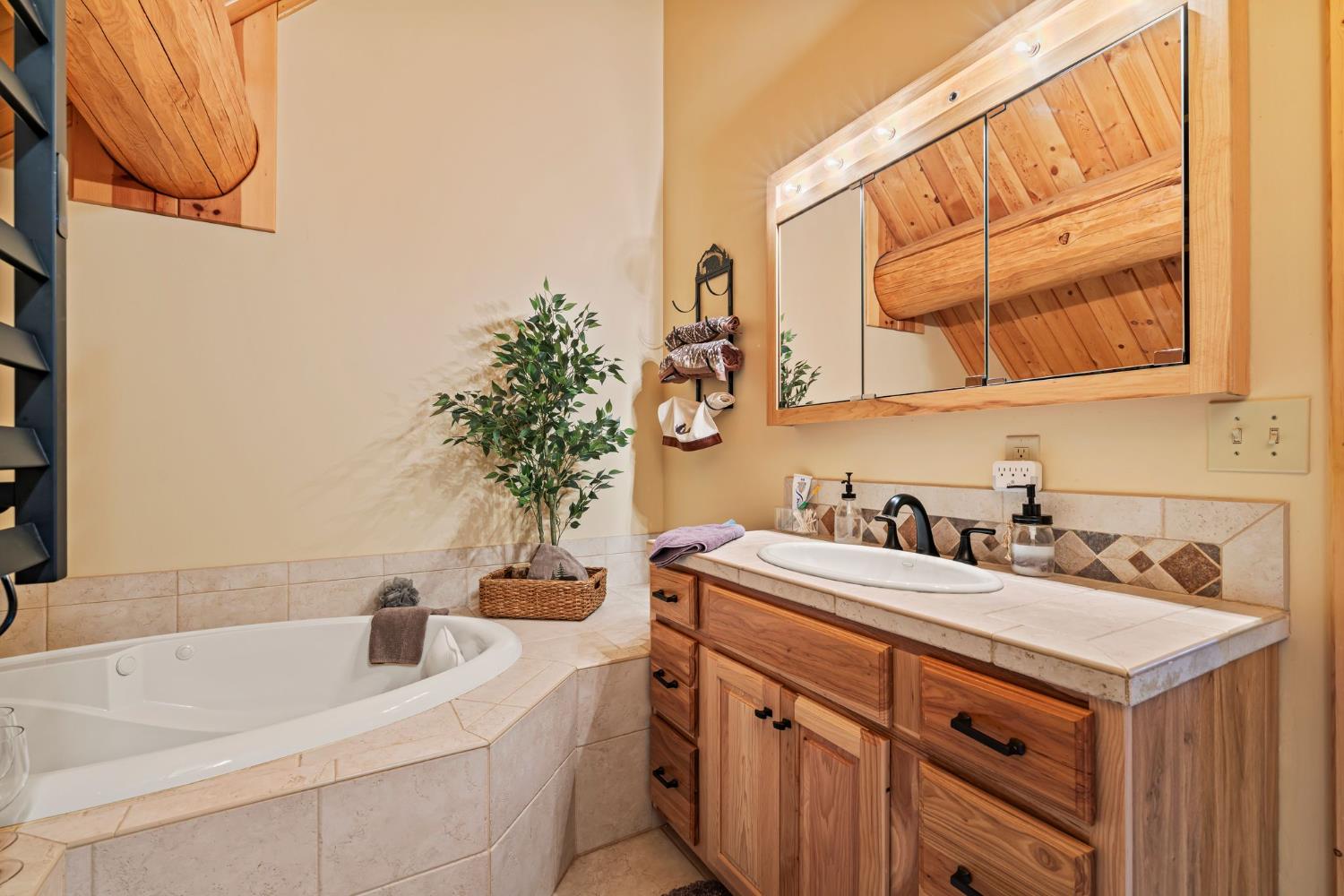3589 Rocky Point Road South Lake Tahoe, CA 96150 - Photo 42 of 95 a bathroom with a sink and a mirror