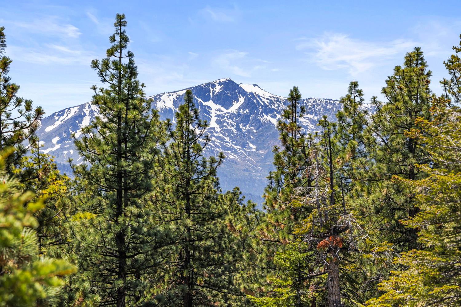 3589 Rocky Point Road South Lake Tahoe, CA 96150 - Photo 74 of 95