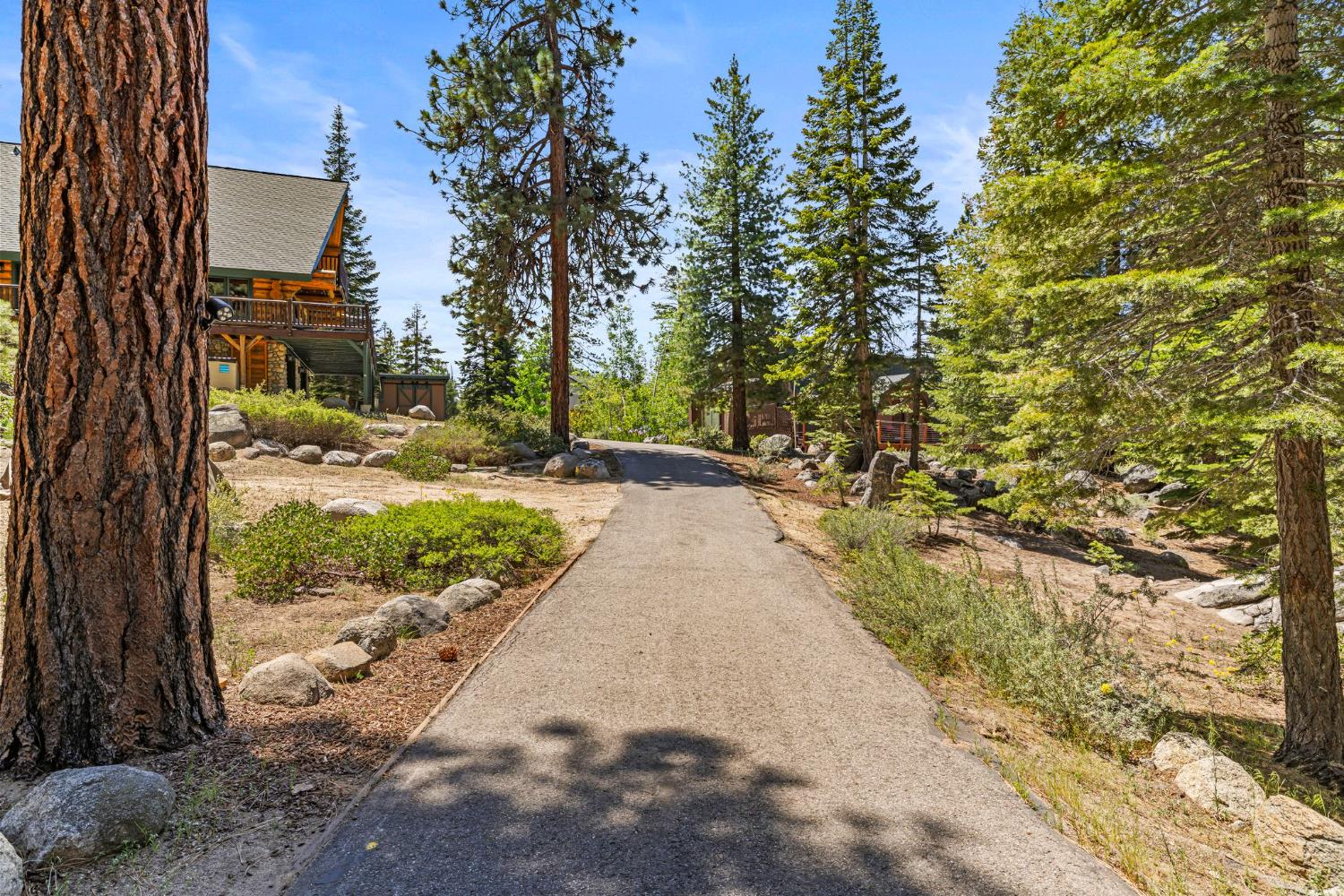 3589 Rocky Point Road South Lake Tahoe, CA 96150 - Photo 76 of 95 a view of a street with trees on both side of it