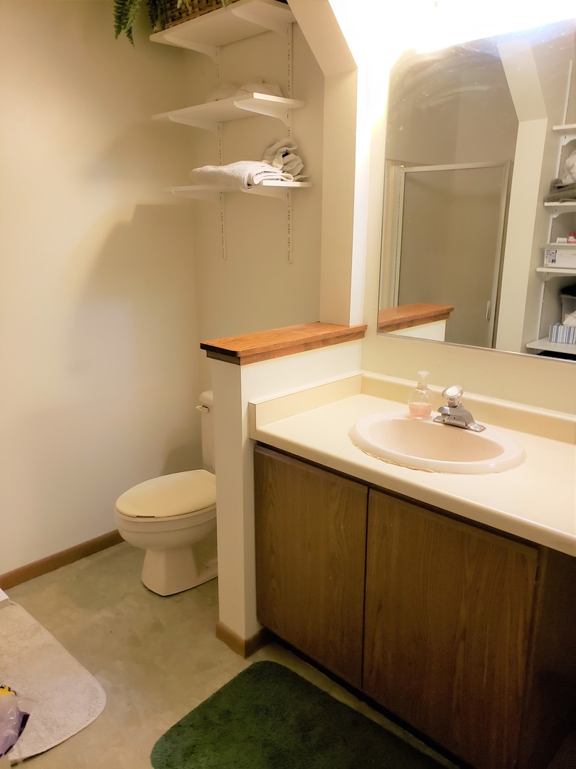 18719 Crowley Road Harvard, IL 60033 - Photo 11 of 22 a bathroom with a sink a toilet and shower