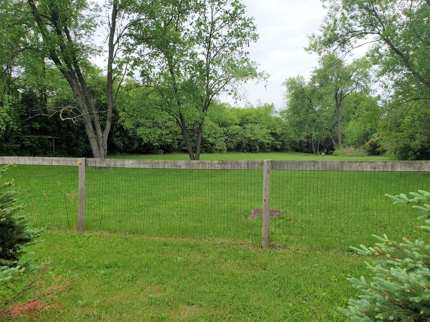 18719 Crowley Road Harvard, IL 60033 - Photo 18 of 22 a view of a big yard with a large trees