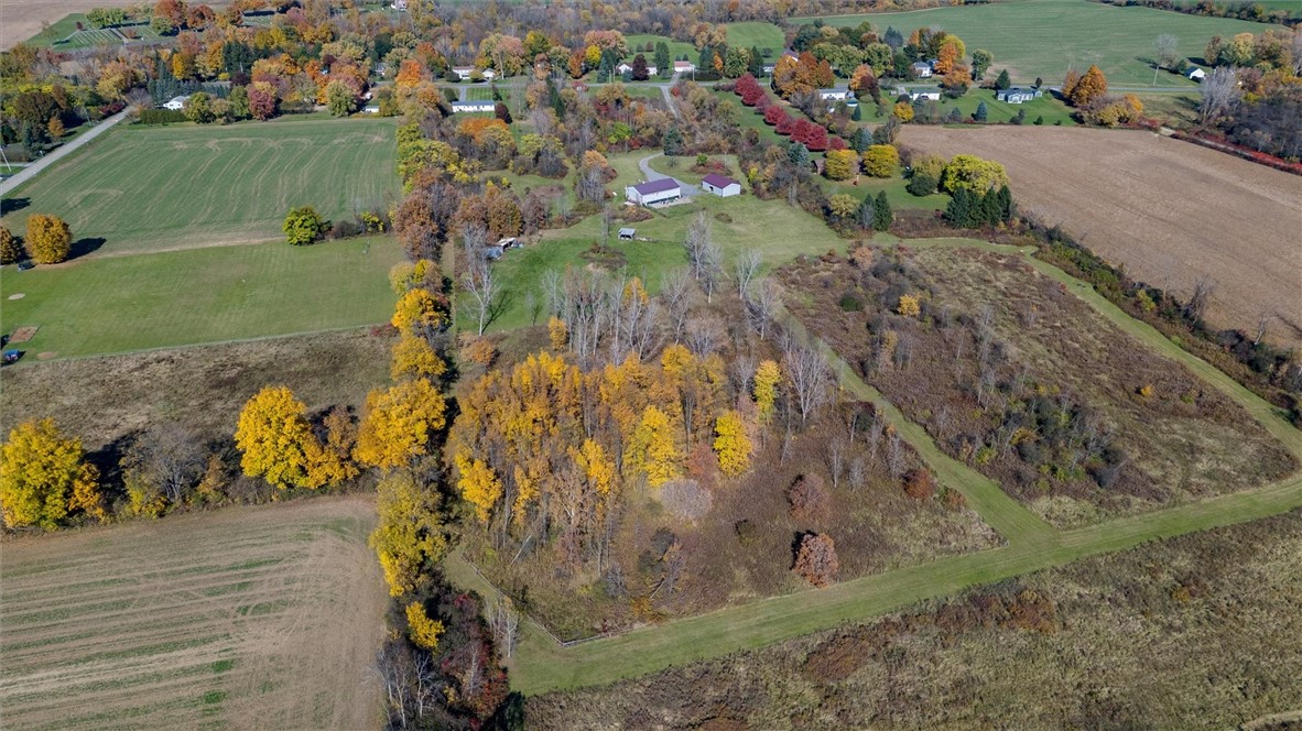 2309 McBurney Road Phelps, NY 14432 - Photo 3 of 48