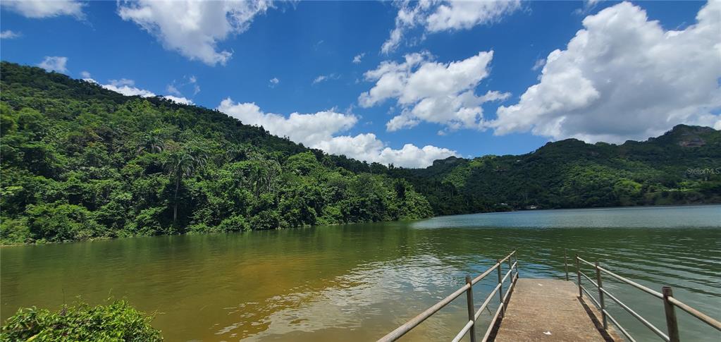 Rio Arriba Arecibo, PR 00612 - Photo 1 of 1 a view of a lake with a city