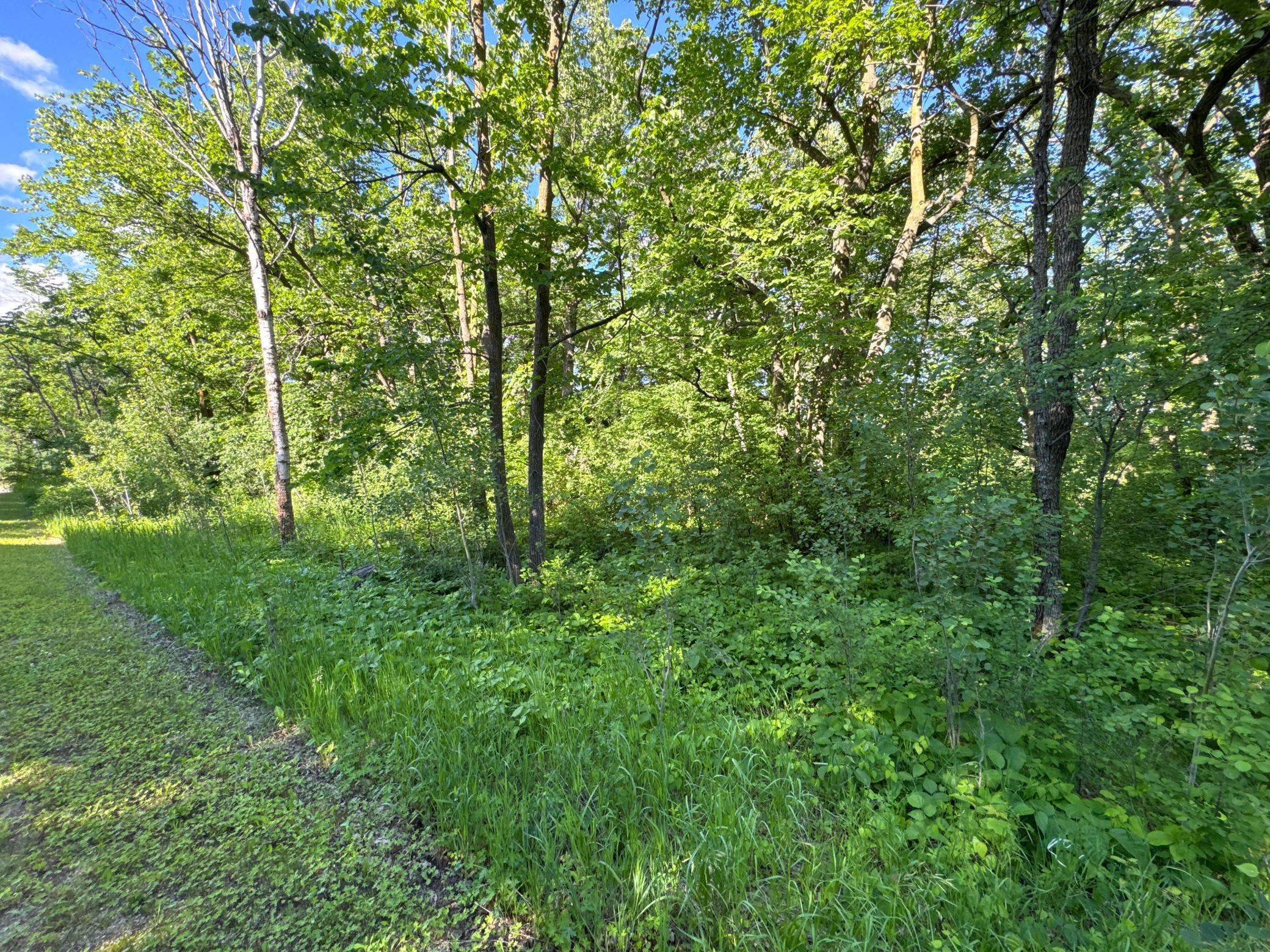 Xxxxx German Lake Road Underwood, MN 56586 - Photo 4 of 16