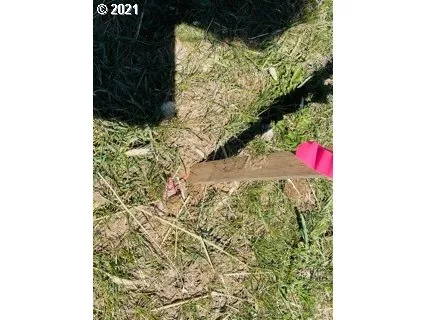 a close up of a sink