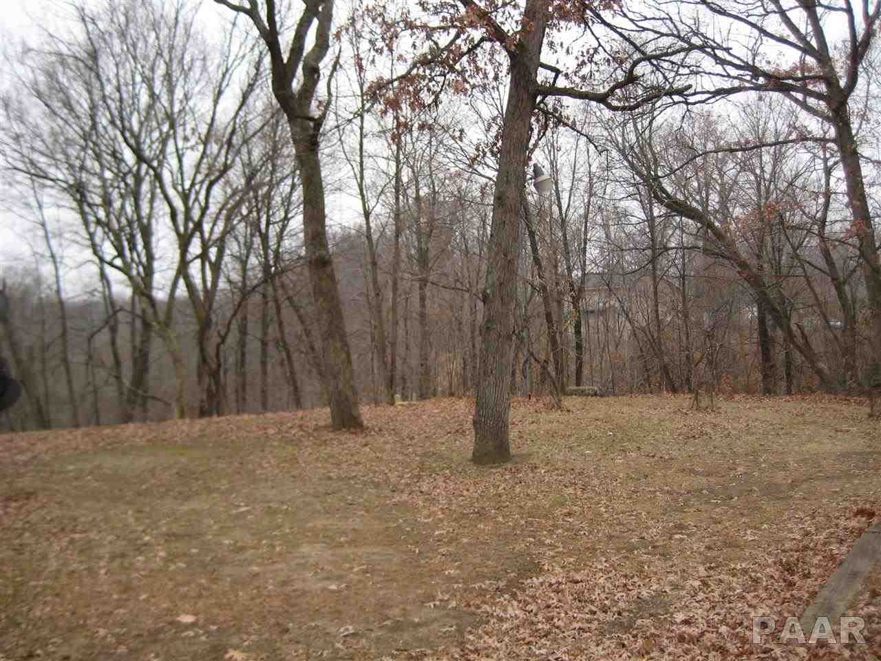24383 Spring Creek Road Washington, IL 61571 - Photo 4 of 8 Gallery Image 4