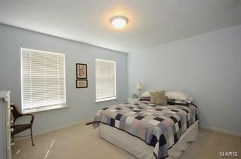 1023 Kiefer Ridge Drive Ballwin, MO 63021 - Photo 23 of 31 Gallery Image 23