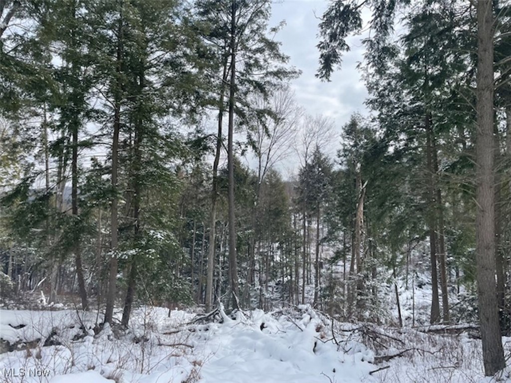 East Sandy Road Kennerdell, PA 16374 - Photo 2 of 15 View of snowy landscape