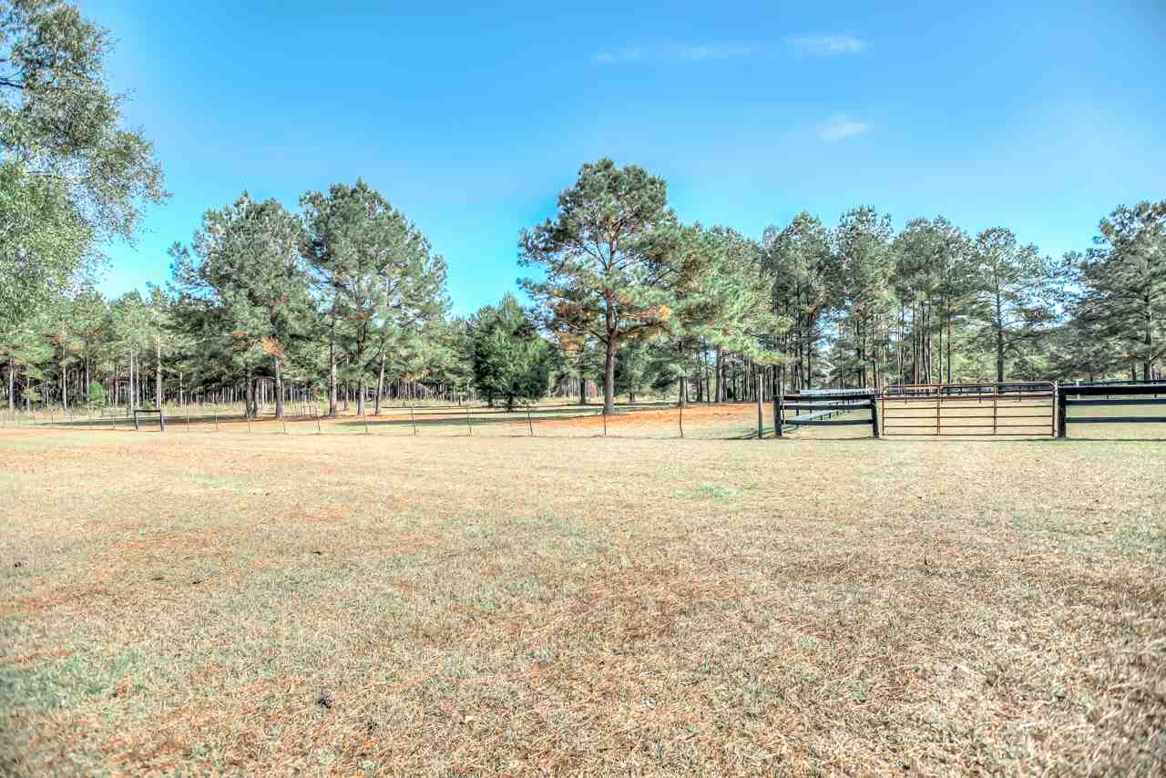 351 Sunday Road Chattahoochee, FL 32324 - Photo 3 of 36 Gallery Image 3