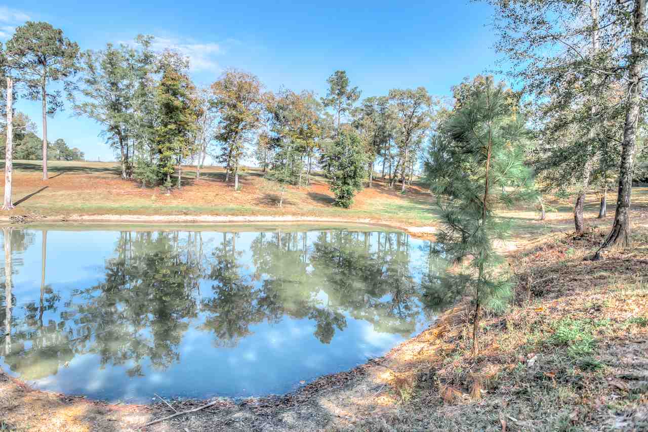 351 Sunday Road Chattahoochee, FL 32324 - Photo 5 of 36 Gallery Image 5