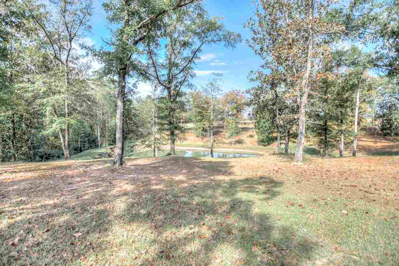 351 Sunday Road Chattahoochee, FL 32324 - Photo 6 of 36 Gallery Image 6