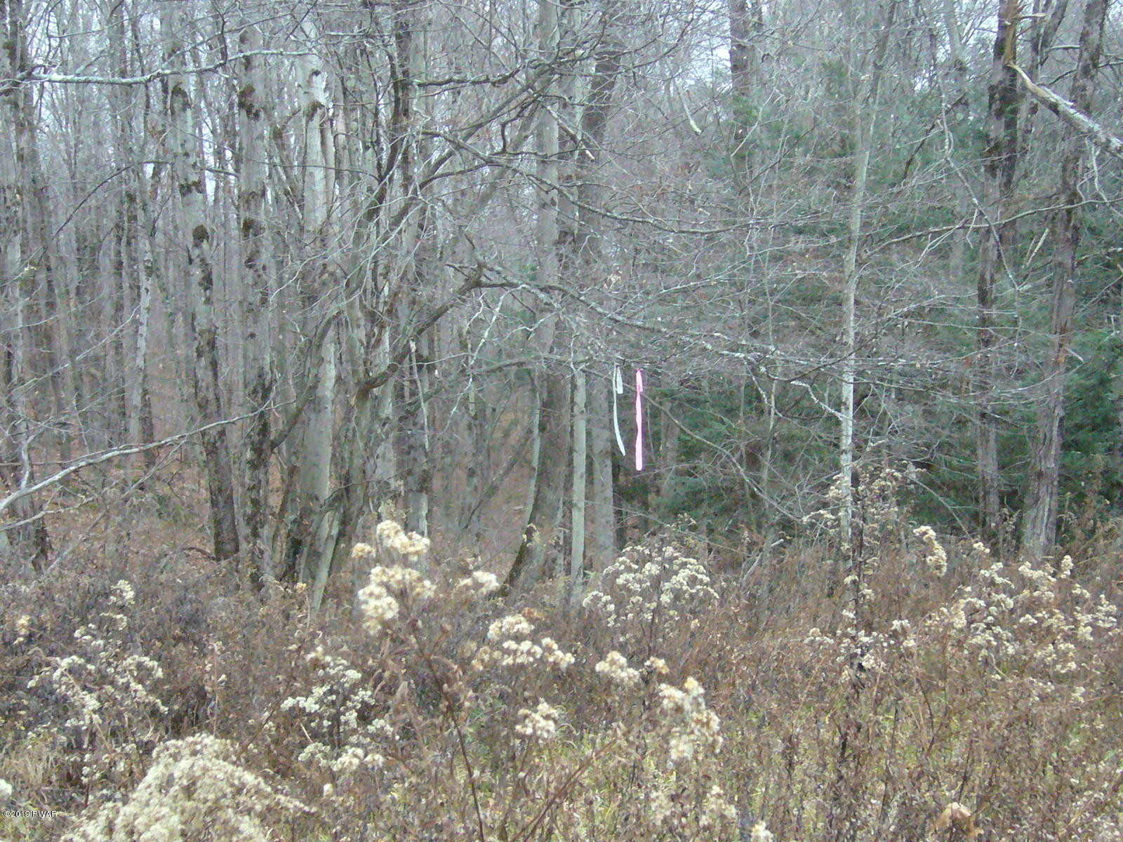 Simpson Road Lakewood, PA 18439 - Photo 11 of 14