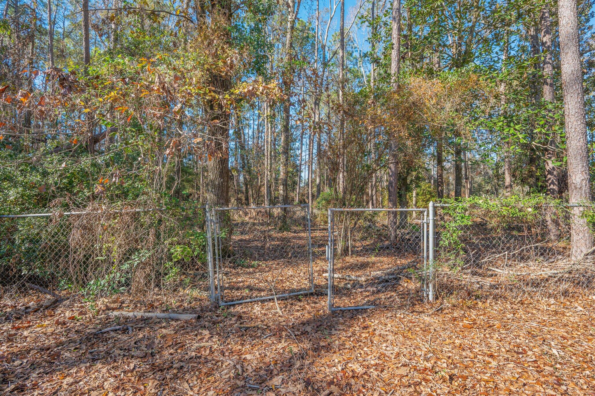 5836 Dairy Road Baker, FL 32531 - Photo 60 of 65 a backyard of a house with lots of plants and large trees