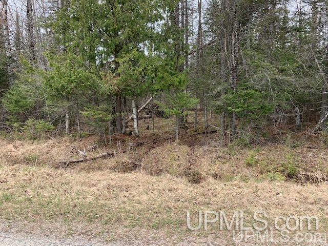 10649 I Road Cornell, MI 49818 - Photo 22 of 49