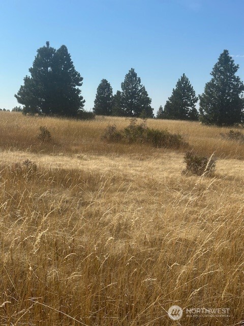 0 Melcum Grade Road Dayton, WA 99328 - Photo 11 of 12 a view of an ocean