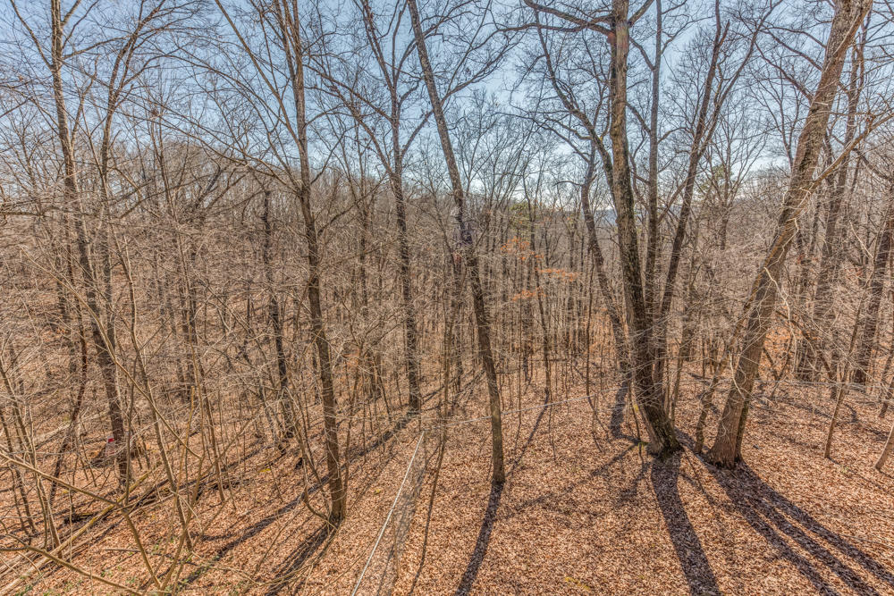 4100 Demory Road La Follette, TN 37766 - Photo 24 of 24 4100 Demory Rd-20