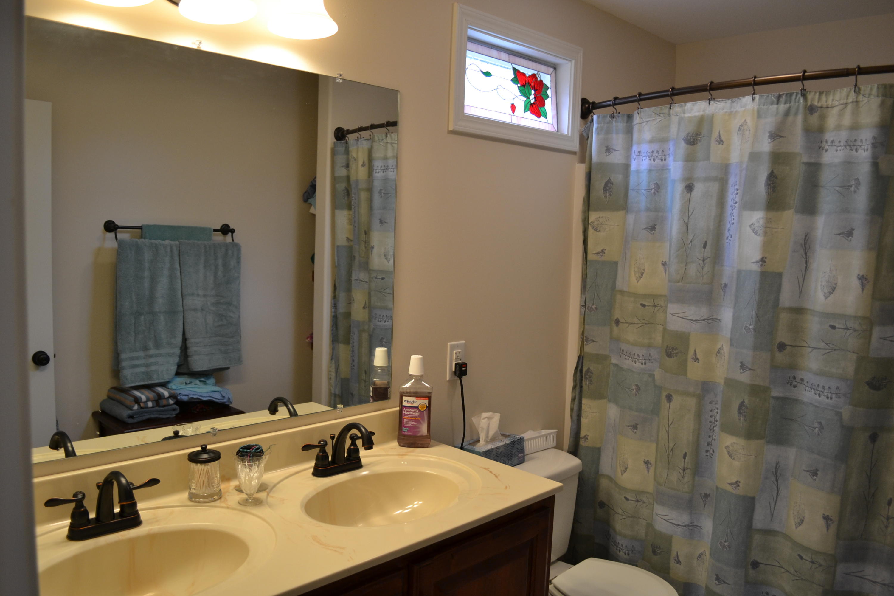 893 Buffalo Trail Clarkrange, TN 38553 - Photo 16 of 33 Master Bath