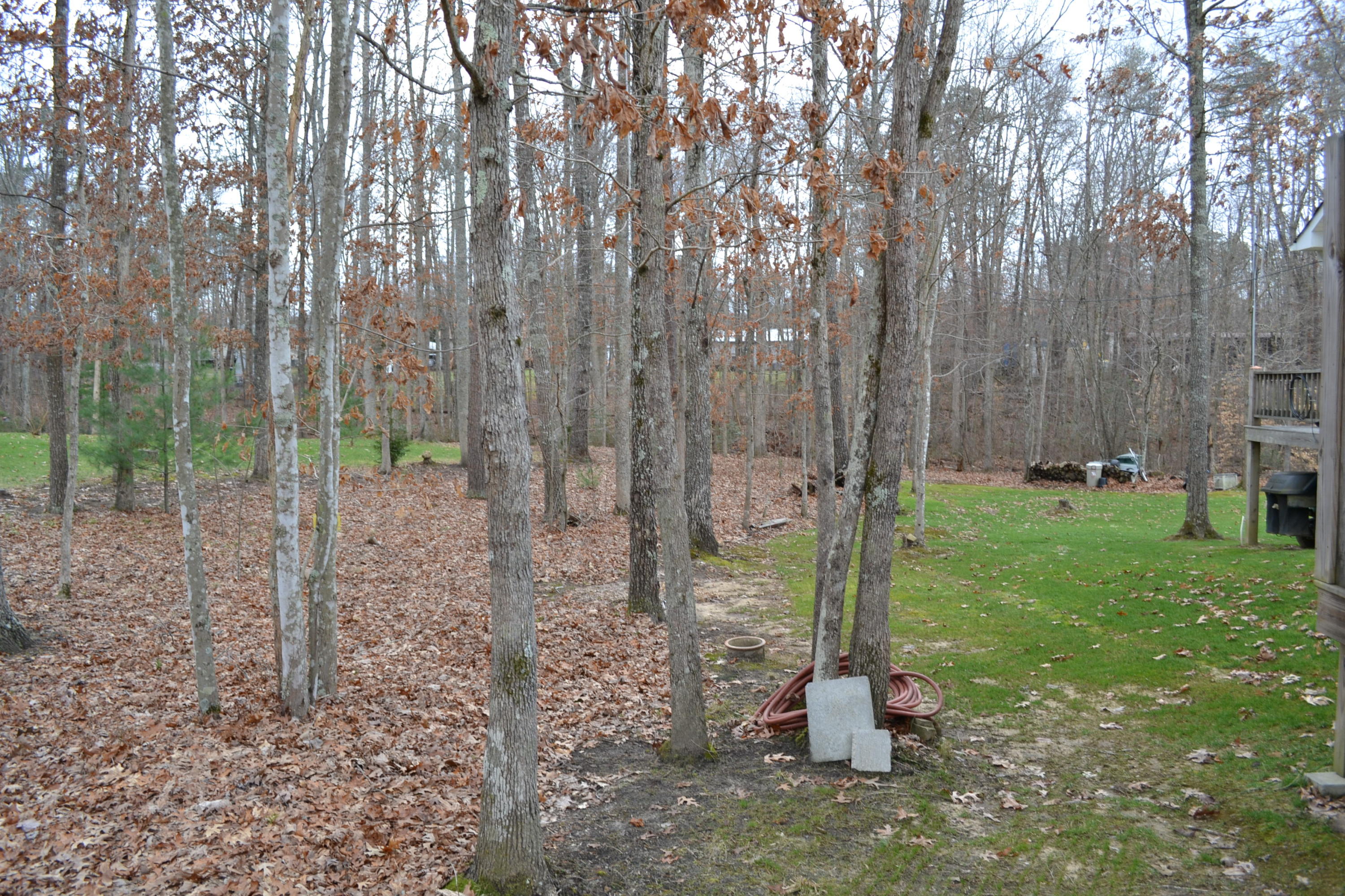 893 Buffalo Trail Clarkrange, TN 38553 - Photo 30 of 33 in the woods