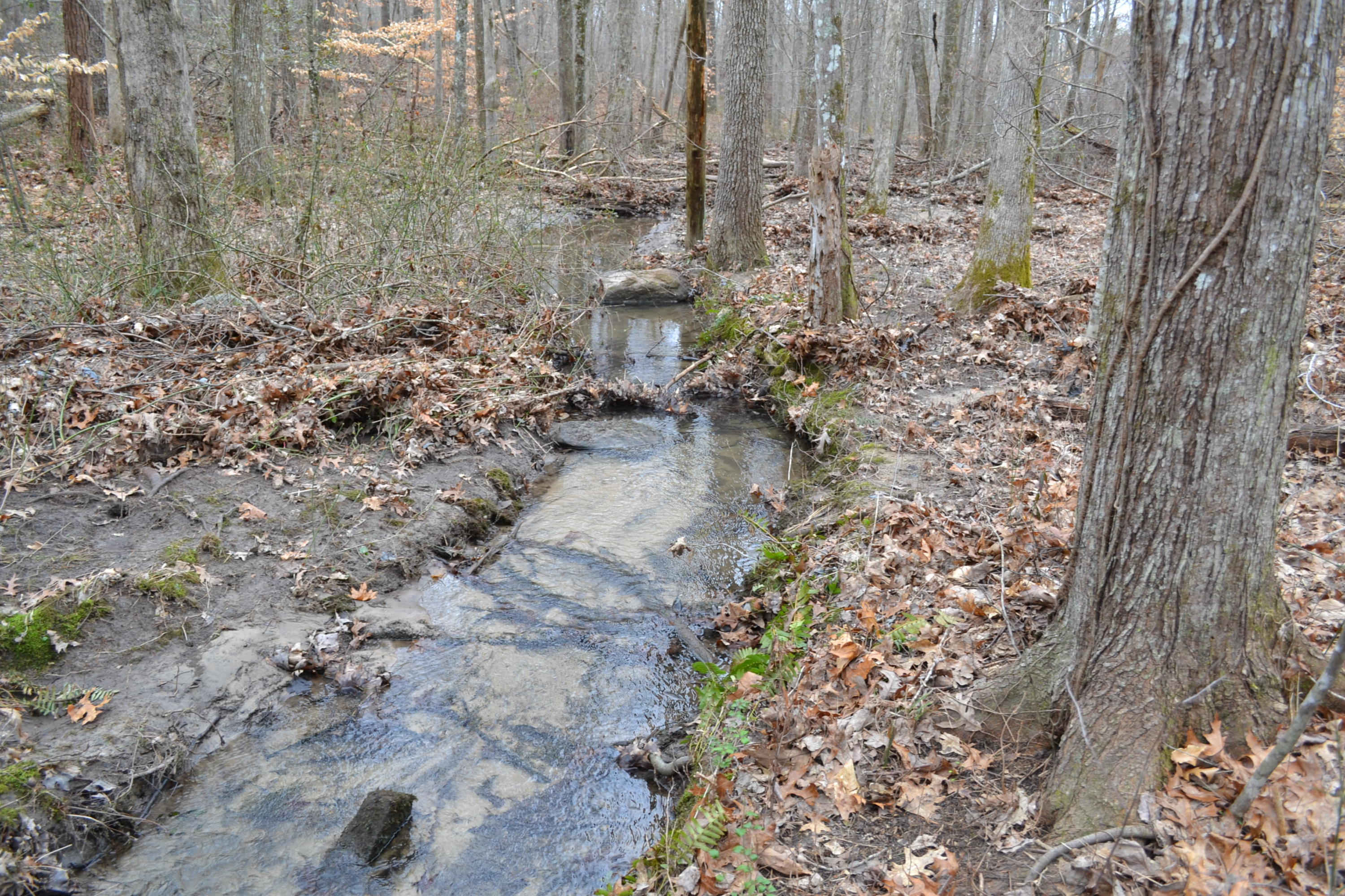 893 Buffalo Trail Clarkrange, TN 38553 - Photo 32 of 33 Creek/ Branch