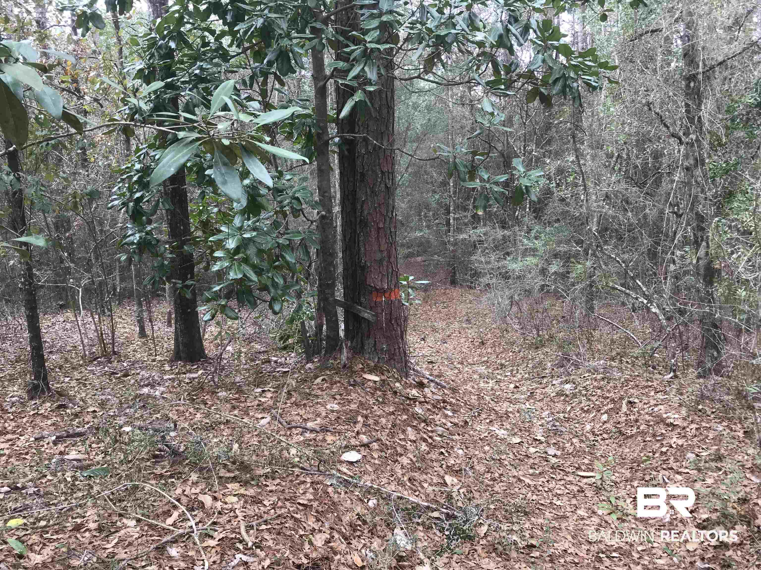 0 Lambert Cemetery Road Citronelle, AL 36522 - Photo 2 of 4