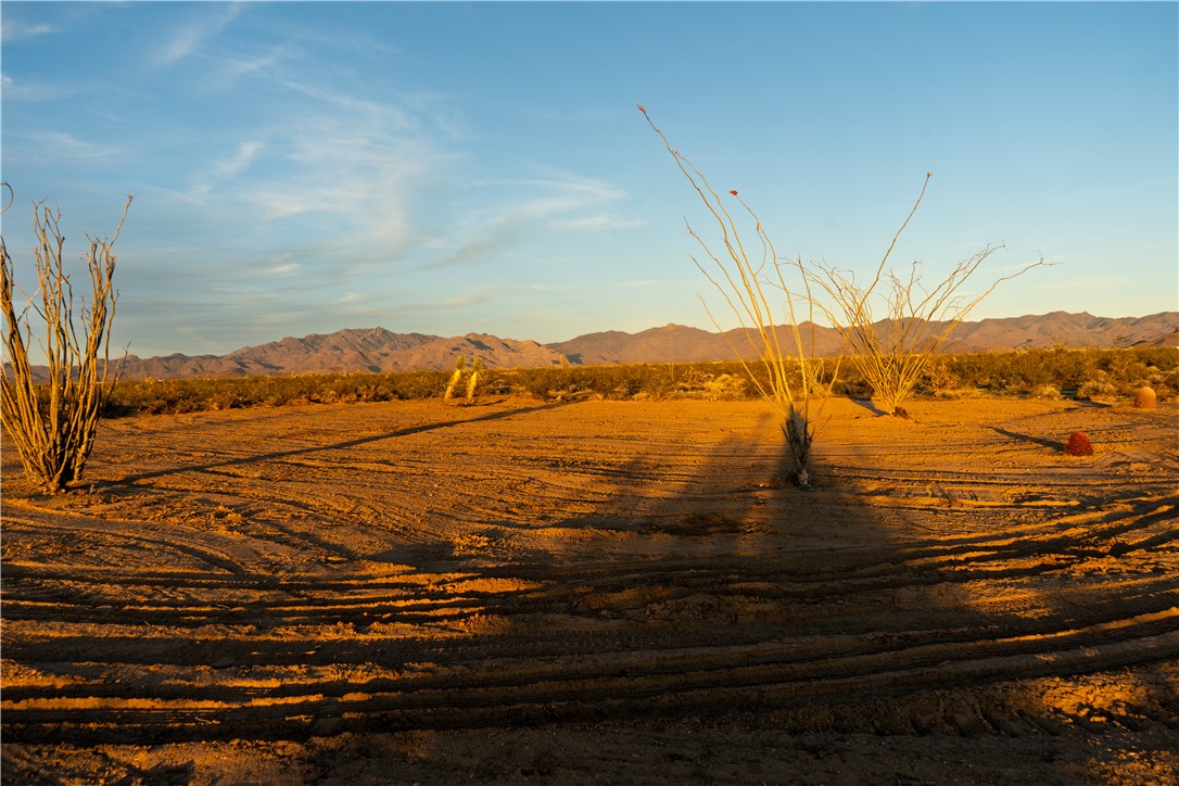 207-17-065 South Cameron Road Yucca, AZ 86438 - Photo 6 of 24