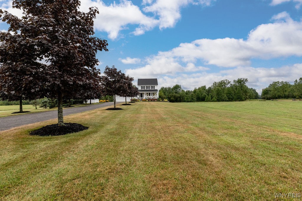 7960 Goodrich Road Clarence, NY 14032 - Photo 42 of 44 A view from the road