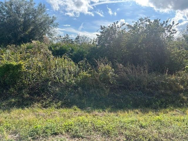 14938 Northwest 254th Street Okeechobee, FL 34972 - Photo 4 of 4 Photo 4