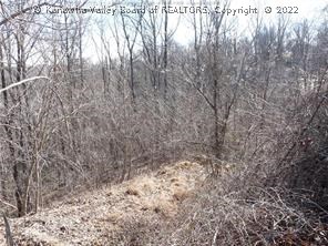 49 Chatwood Road Charleston, WV 25304 - Photo 6 of 10 Gallery Image 6