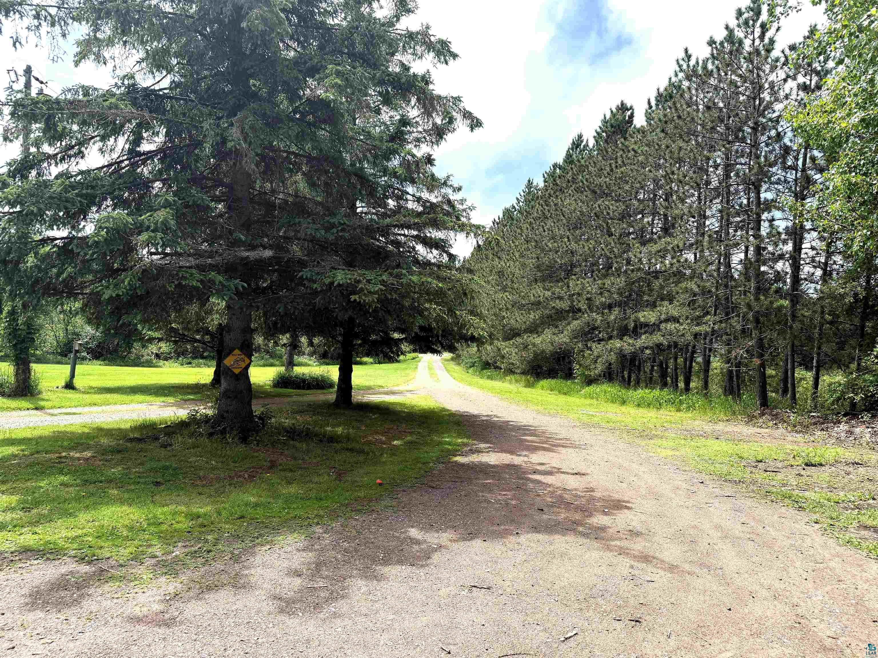 3541 Bent Trout Lake Road Barnum, MN 55707 - Photo 6 of 41 Gravel driveway bordered by mature evergreen trees