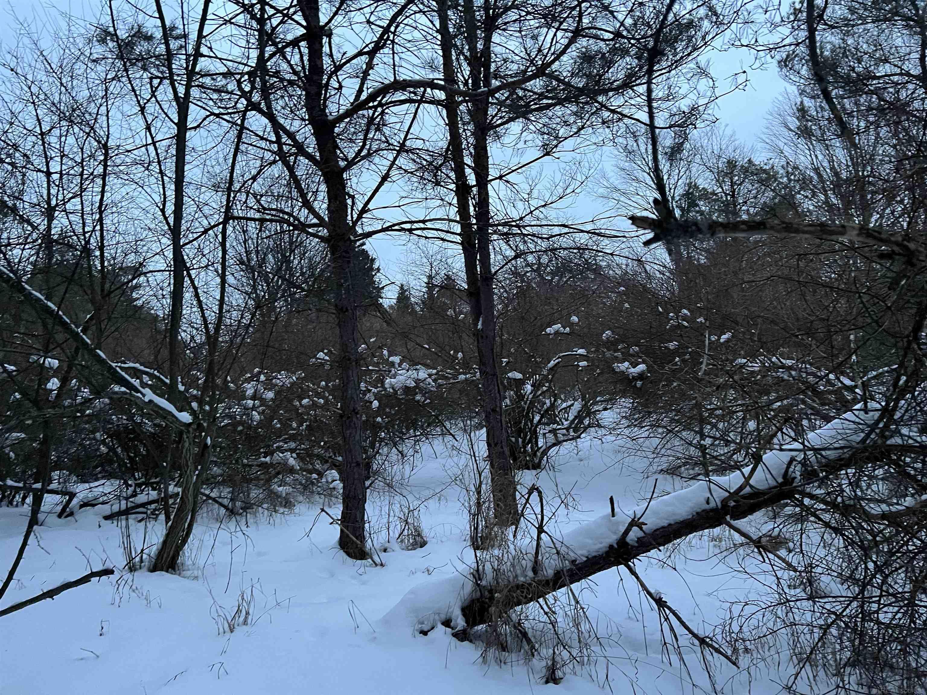 Goodrich Road Herron, MI 49744 - Photo 15 of 19 Gallery Image 15
