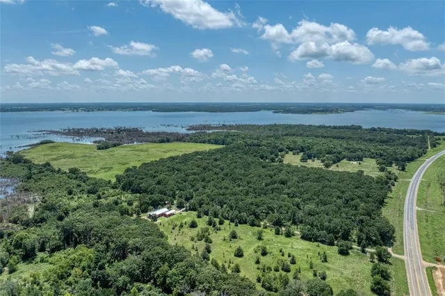 a view of a lush green space
