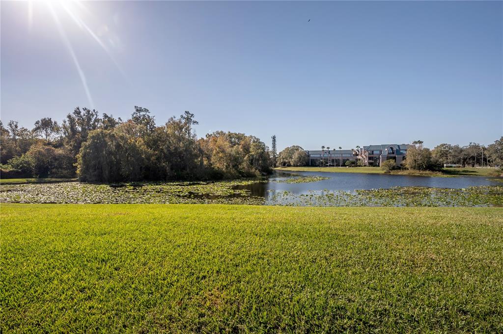 5100 Burchette Road, Unit 3903 Tampa, FL 33647 - Photo 21 of 25