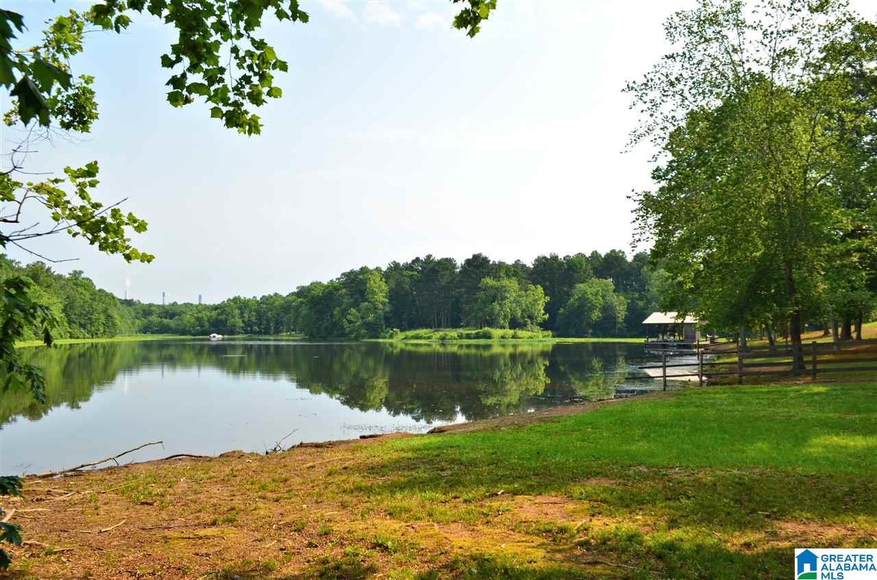 4683 Mcgowans Ferry Road Childersburg, AL 35044 - Photo 8 of 46