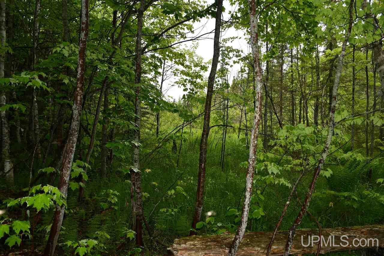 Tbd Mud Lake Road Lake Linden, MI 49945 - Photo 20 of 28