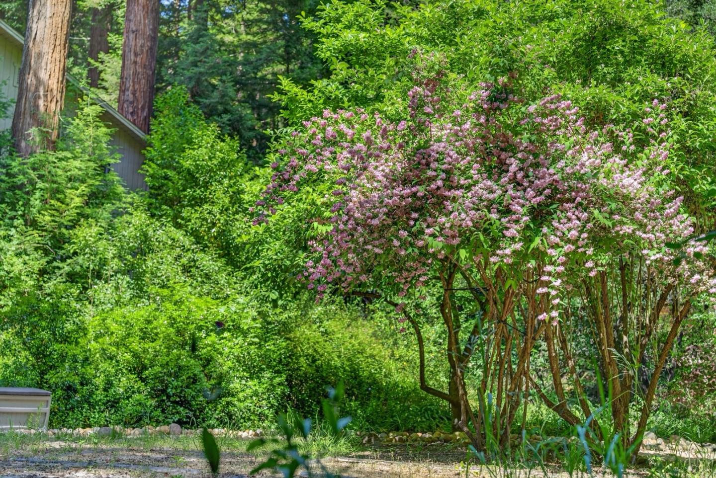 450 Vine Hill Road Santa Cruz, CA 95065 - Photo 33 of 41