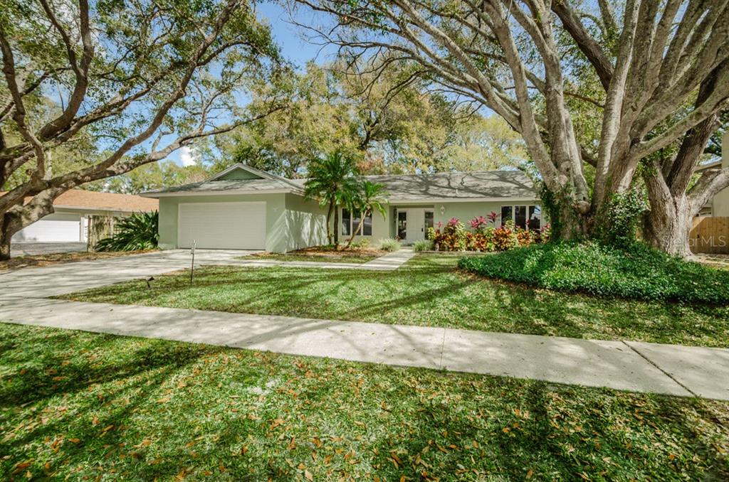 610 Sandy Hook Road Palm Harbor, FL 34683 - Photo 1 of 1 Front