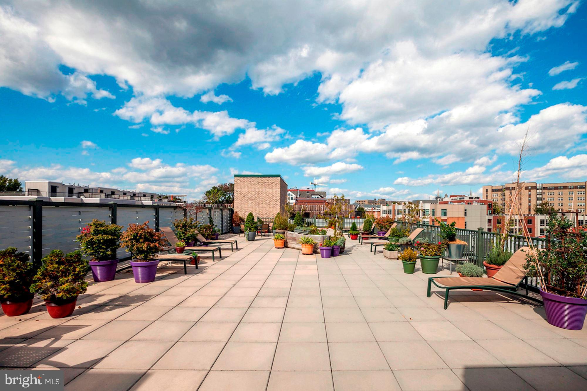 1701 Kalorama Road Northwest, Unit 412 Washington, DC 20009 - Photo 25 of 29 Roof Deck