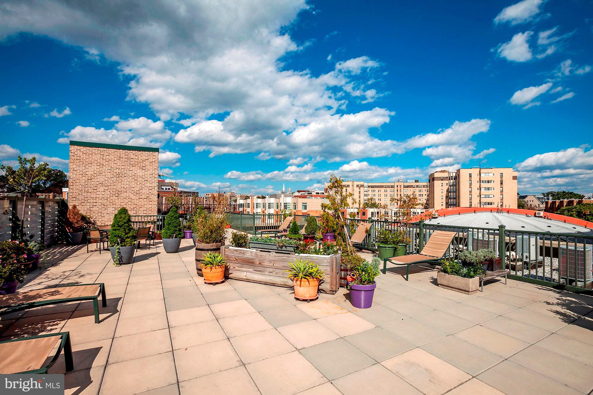 1701 Kalorama Road Northwest, Unit 412 Washington, DC 20009 - Photo 26 of 29 Roof Deck