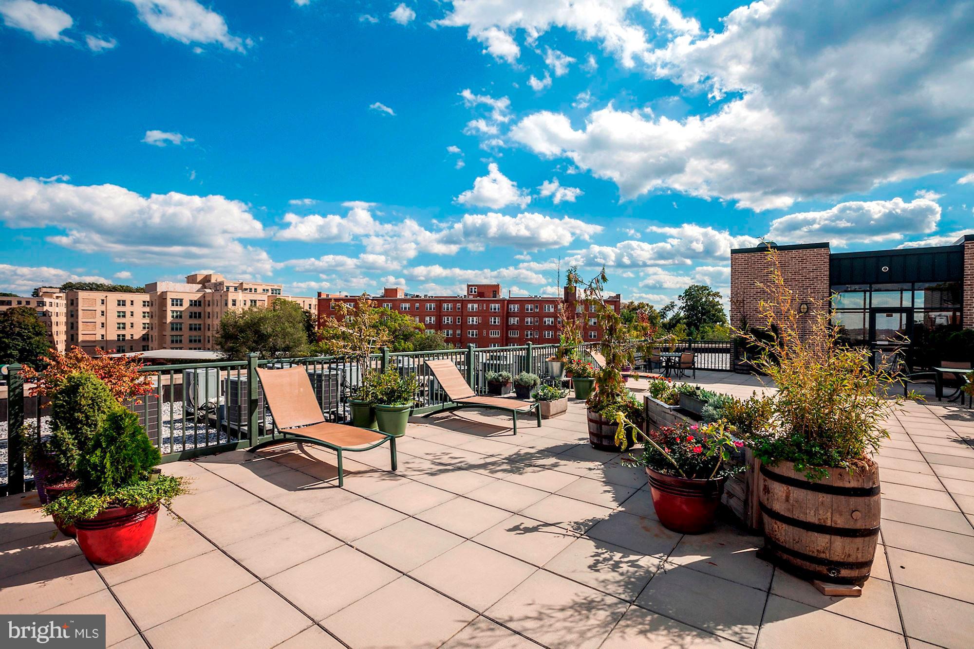 1701 Kalorama Road Northwest, Unit 412 Washington, DC 20009 - Photo 27 of 29 Roof Deck