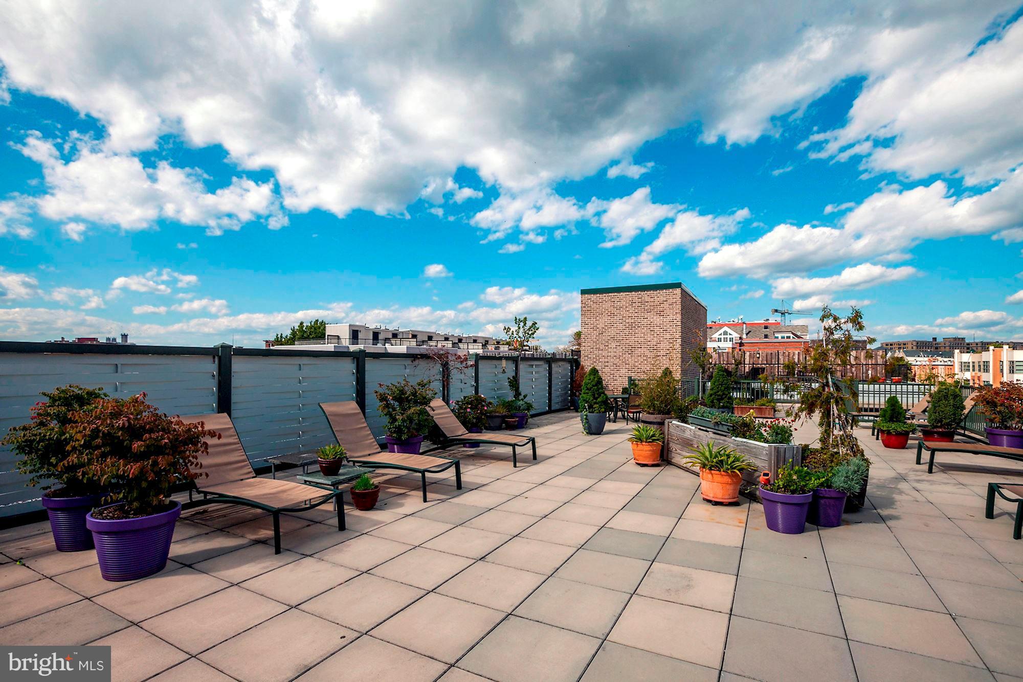 1701 Kalorama Road Northwest, Unit 412 Washington, DC 20009 - Photo 28 of 29 Roof Deck