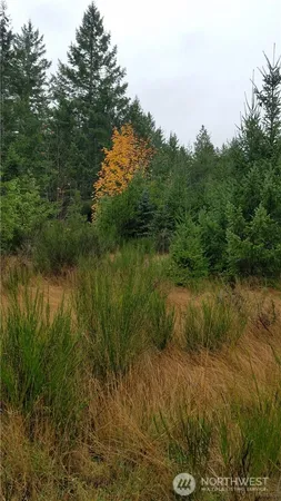 $90,000 | 1140-1180 West California Road, Shelton, WA 98584