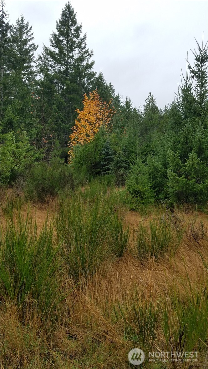 1140-1180 West California Road Shelton, WA 98584 - Photo 1 of 7 a view of lake