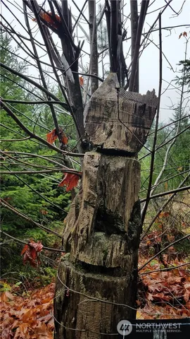 a view of a tree is standing in between the yard