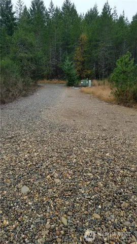 a view of a yard with a trees