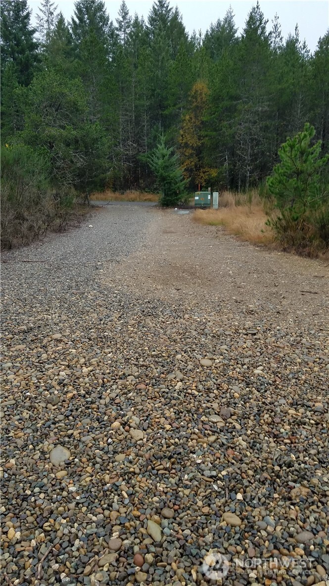 1140-1180 West California Road Shelton, WA 98584 - Photo 6 of 7 a view of a yard with a trees