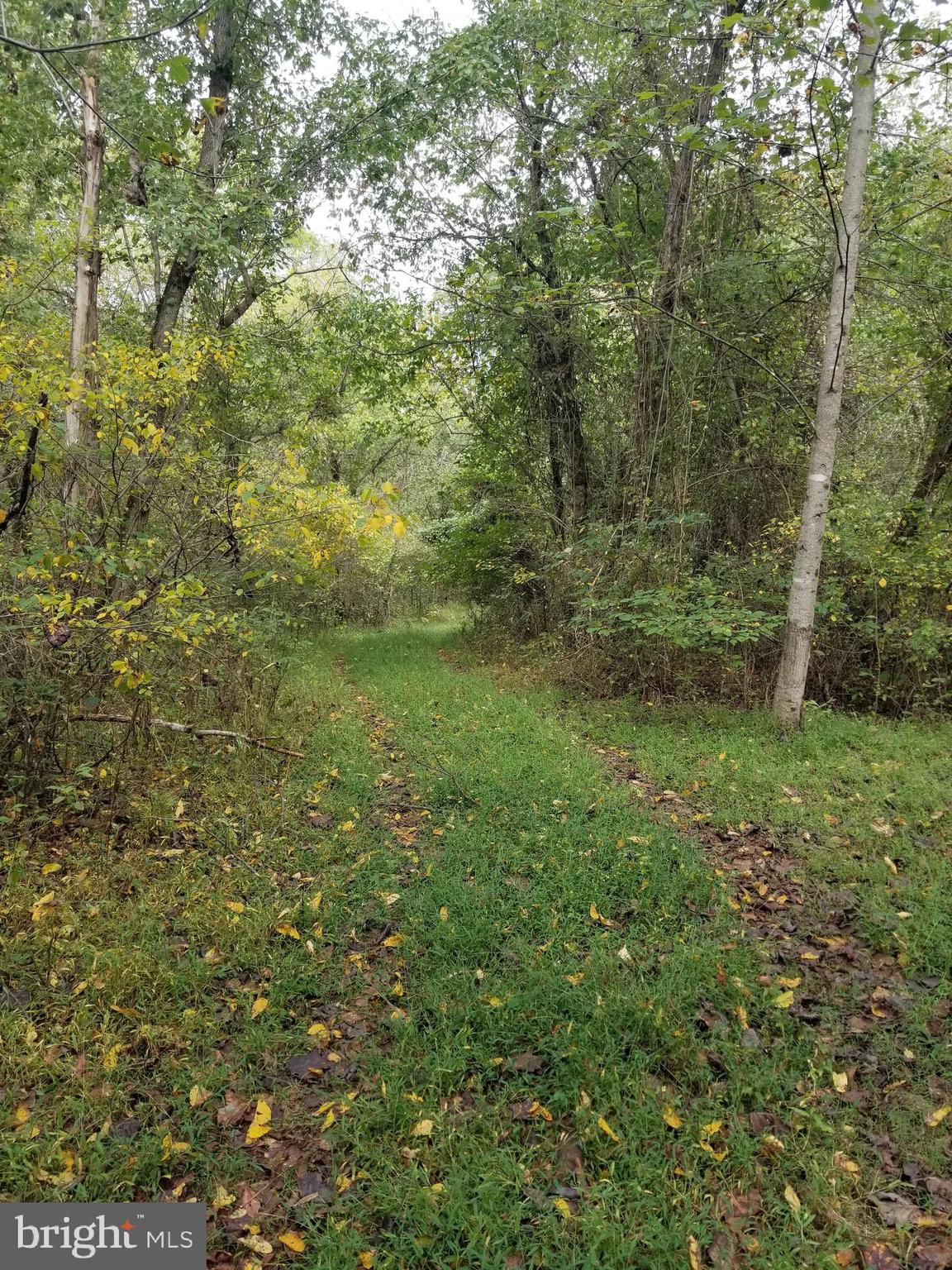 0 Hazel River Road Rixeyville, VA 22737 - Photo 1 of 39
