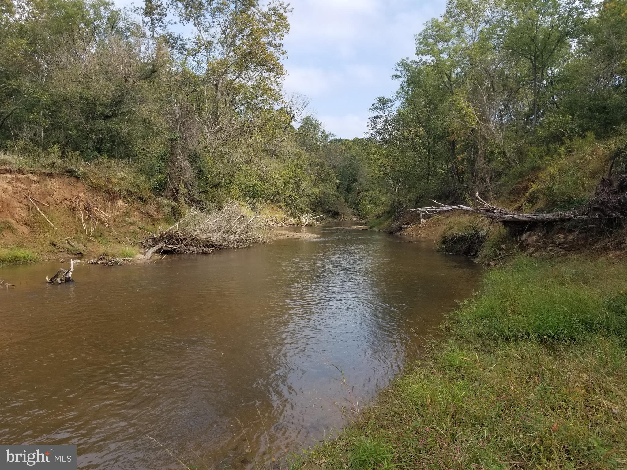 0 Hazel River Road Rixeyville, VA 22737 - Photo 13 of 39
