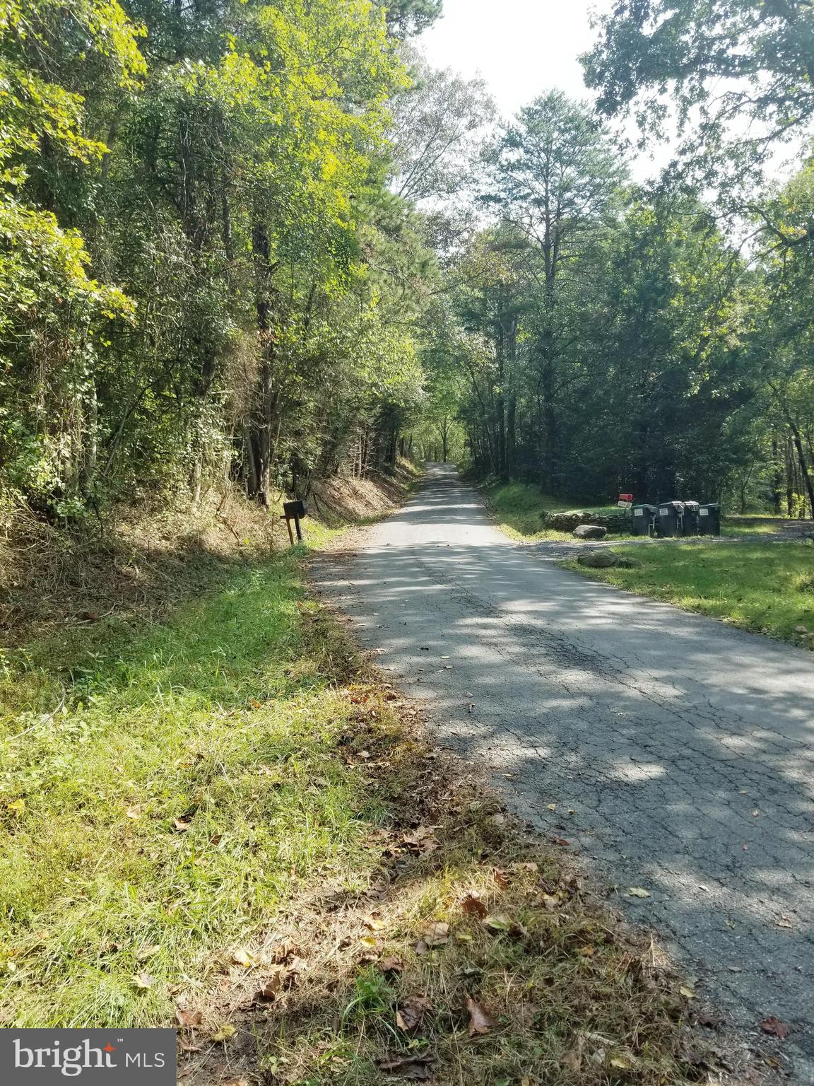 0 Hazel River Road Rixeyville, VA 22737 - Photo 20 of 39