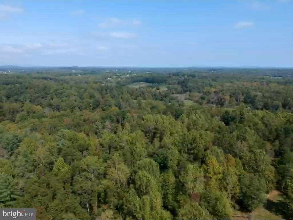 0 Hazel River Road Rixeyville, VA 22737 - Photo 22 of 39