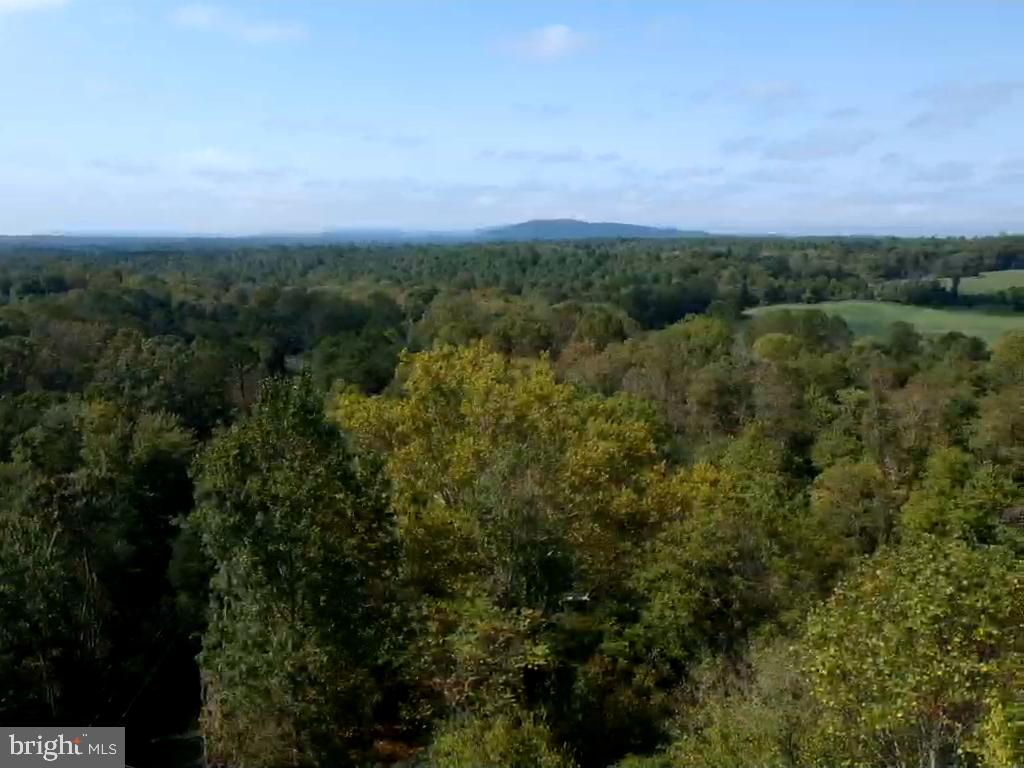 0 Hazel River Road Rixeyville, VA 22737 - Photo 23 of 39